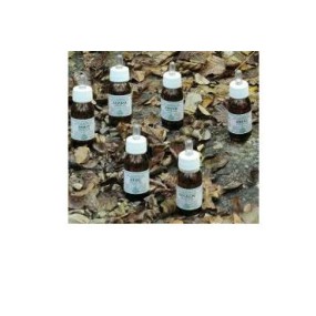 Vitivin olio massaggi 100 ml alchemica valgelata