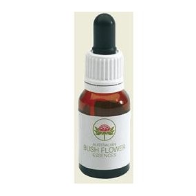 Red helmet orchid australian gocce 15 ml
