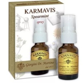 Karmavis spearmint spray 15 ml dr. giorgini