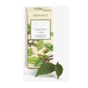 AESCULUS HIPPOCASTANUM Gemme Gemmoderivato 50 ml Erbamea