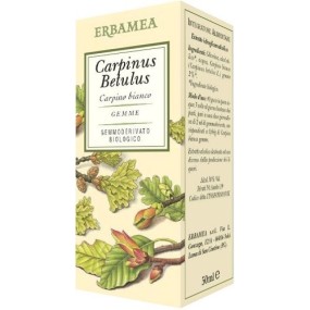 CARPINUS BETULUS Gemmoderivato 50 ml Erbamea