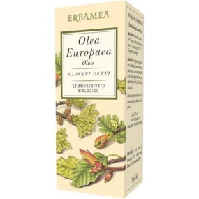 Olea europea olivo gemmoderivato 50 ml erbamea