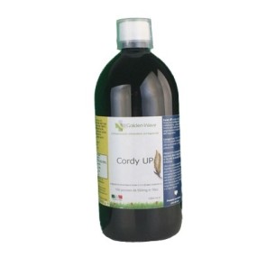 CORDY UP 1 LITRO Golden Wave