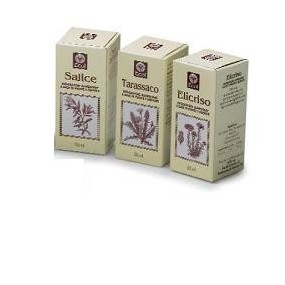 Te verde estratto analcolico integratore alimentare 50 ml ecol