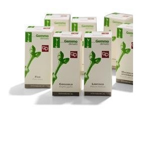 BETULLA BIANCA VERRUCOSA Macerato Glicerinato Gemme 50 ml Fitomedical