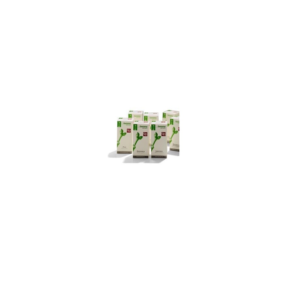 Brugo macerato glicerinato gemme 50 ml fitomedical