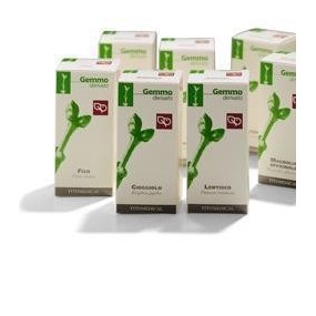Frassino semi macerato glicerico gemme 50 ml fitomedical