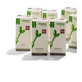 OLIVO Macerato Glicerinato Gemme 50 ml Fitomedical