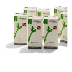 Lentisco macerato glicerinato gemme 100 ml fitomedical