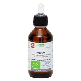 Sequoia macerato glicerinato bio gemme 100 ml fitomedical