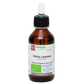 ROSA CANINA Macerato Glicerinato Bio Gemme 100 ml Fitomedical