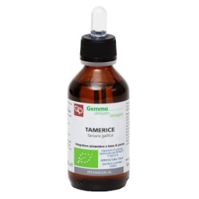 TAMERICE TAMARIX GALLICA Macerato Glicerinato Bio Gemme 100 ml Fitomedical