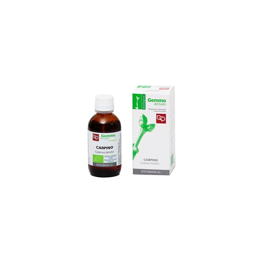 Carpino macerato glicerinato bio gemme 50 ml fitomedical
