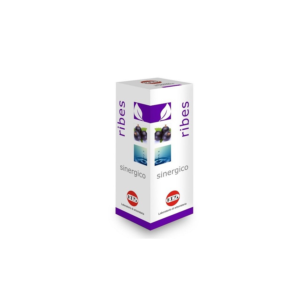 Ribes sinergico integratore alimentare 100 ml kos