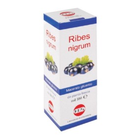 RIBES NIGRUM Macerato Glicerico 100 ml Kos