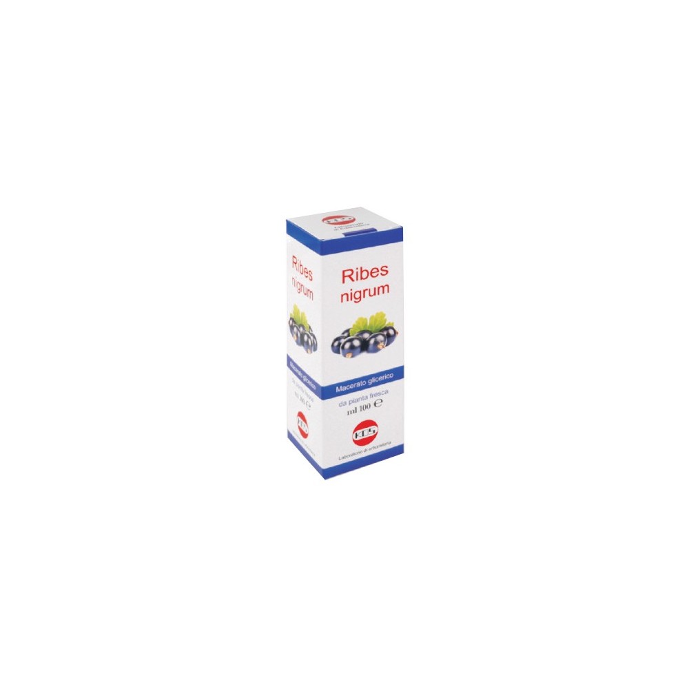 Ribes nigrum macerato glicerico 100 ml kos