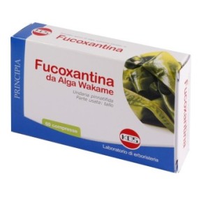 Fucoxantina wakame estratto secco 60 compresse kos