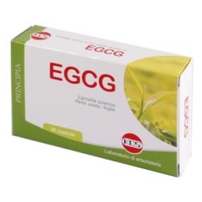 EGCG da tè verde integratore alimentare 30 capsule Kos