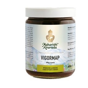Vigormap pasta 600 g