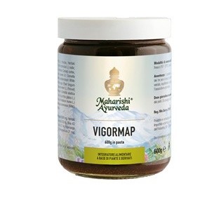 VIGORMAP PASTA 600 G