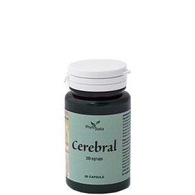 Cerebral ayurved 60 capsule