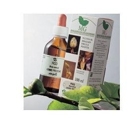 Noce macerato glicerico 100 ml