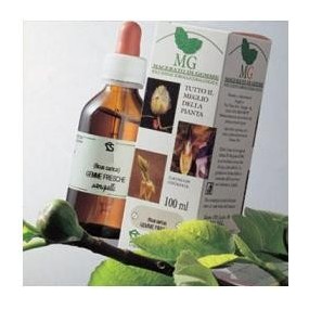 Betulla semi macerato glicerico 100 ml sangalli