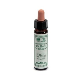 HOLLY n° 15 integratore alimentare 10 ml Santiveri Ibersan