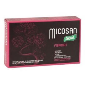 MICOXAN FIBROART integratore alimentare 40 capsule Santiveri Ibersan