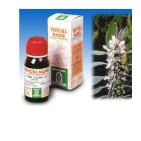Cardiaca 16 50ml tm
