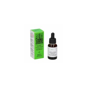 Mgs3 betulla macerato glicerico spg 20 ml