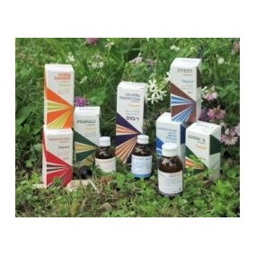 Raemil rosa canina macerato idroalcolico comp 50 ml