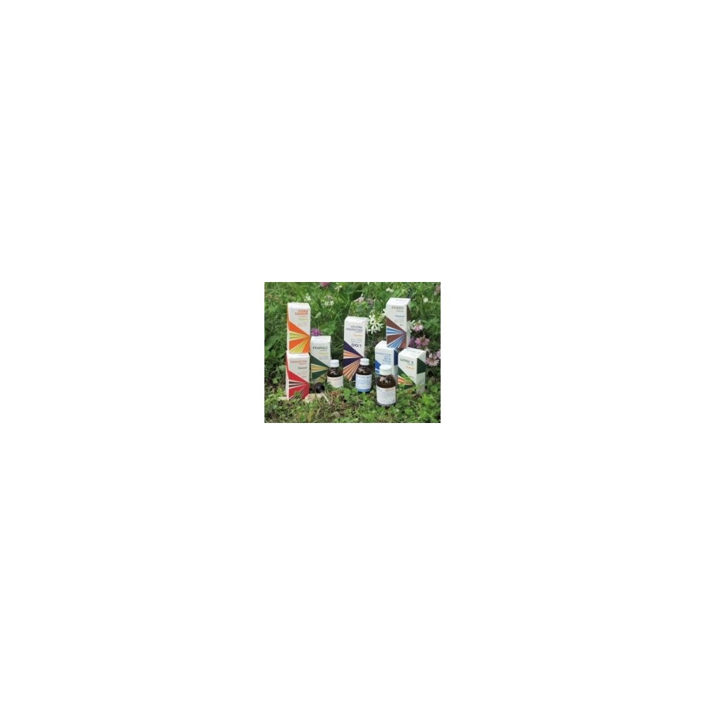 Raemil piantaggine 100 ml