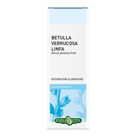 Gemmoderivato Betulla Verrucosa Linfa 50 ml Erba Vita