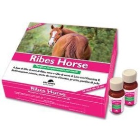 Ribes horse 30 flaconi da 25 ml