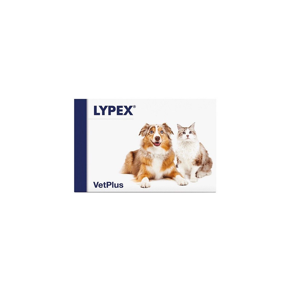Lypex 60 capsule