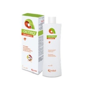 Actea shampoo flacone con tappo flip-top 150 ml