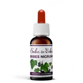 Ribes nigrum macerato glicerinato 30 ml salus in erbis