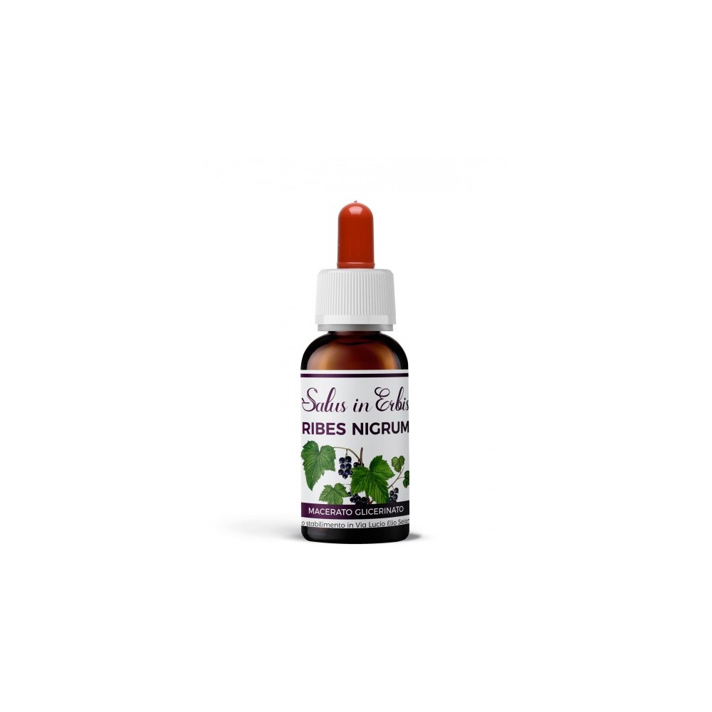 Ribes nigrum macerato glicerinato 30 ml salus in erbis