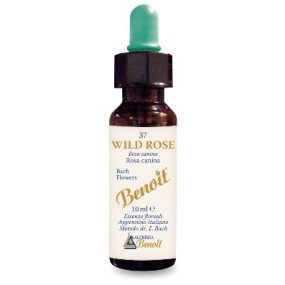 Fiori di bach benoit wild rose 10 ml