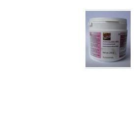 Auricularia mycology research laboratories biomass polvere