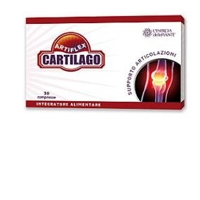 Artiflex cartilago 30 compresse