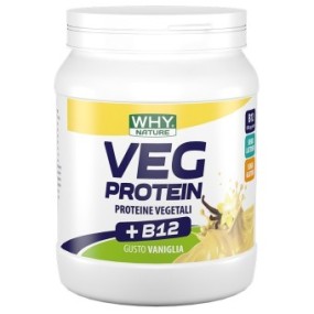 Whynature veg protein vaniglia 450 g