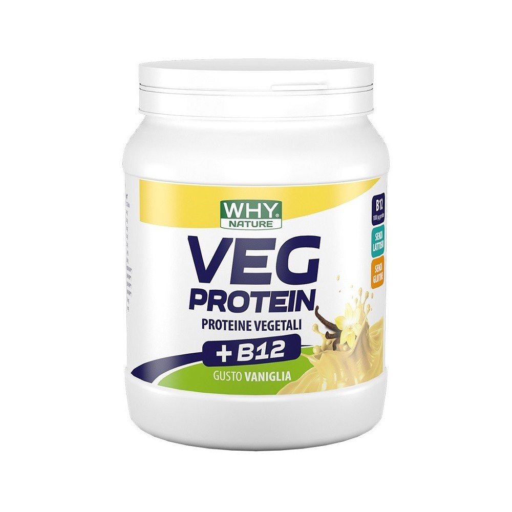 Whynature veg protein vaniglia 450 g