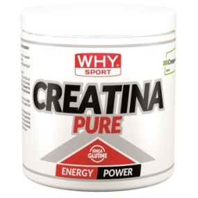 Whysport creatina pure 300 g