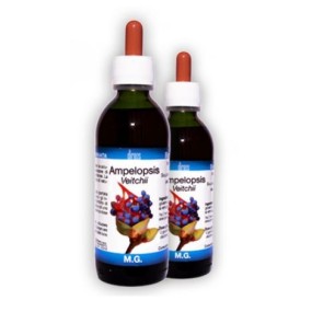 Ampelopsis veitchii macerato glicerico 50 ml