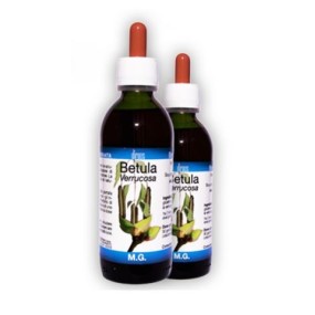 Betula verrucosa 50 ml macerato glicerico