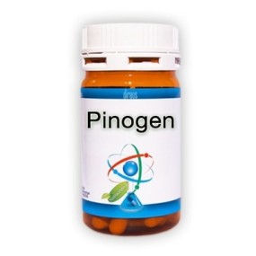 Pinogen 60 capsule