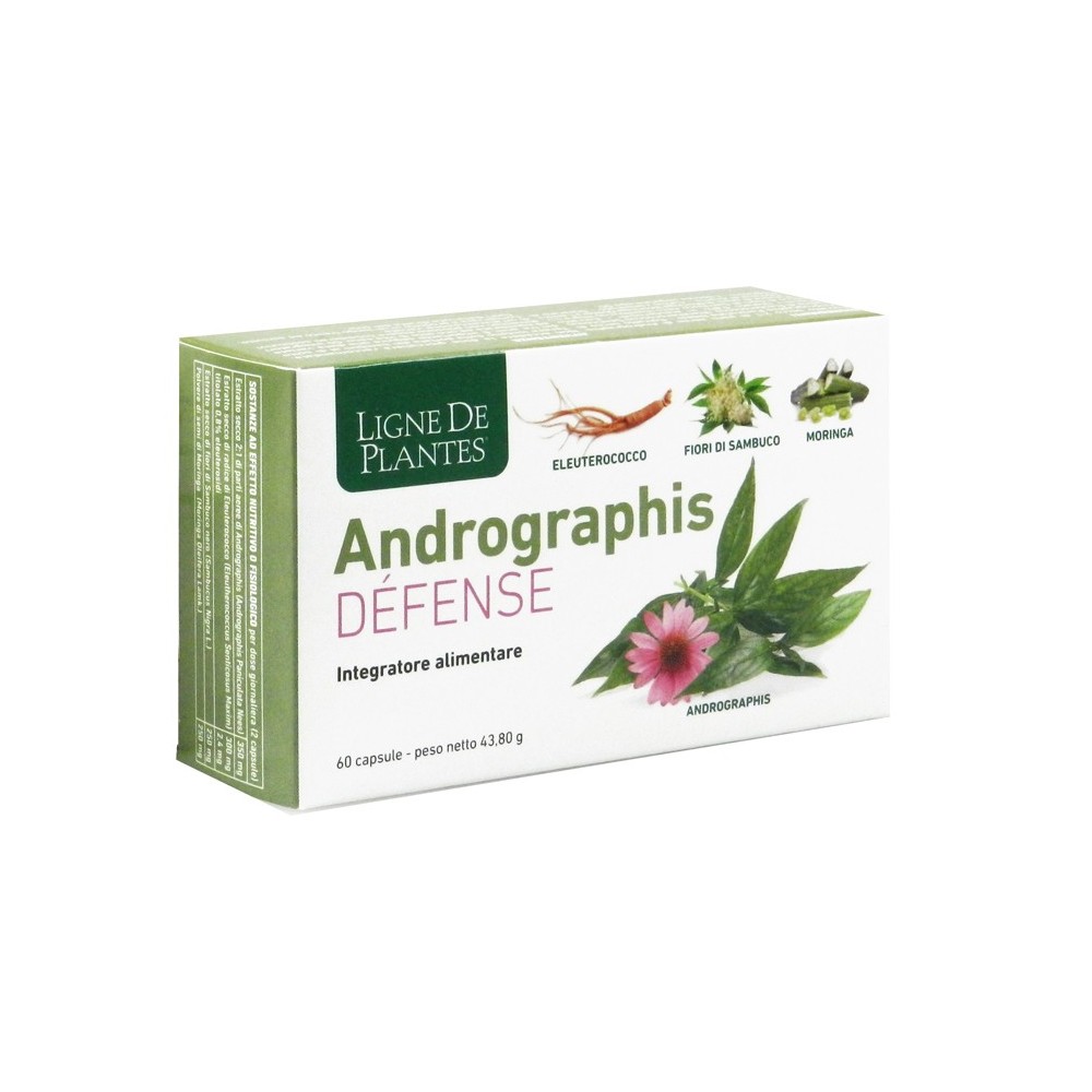 Ligne de plantes andrographis defense 60 capsule