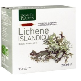 Ligne de plantes lichene islandico 15 ampolle x 15 ml